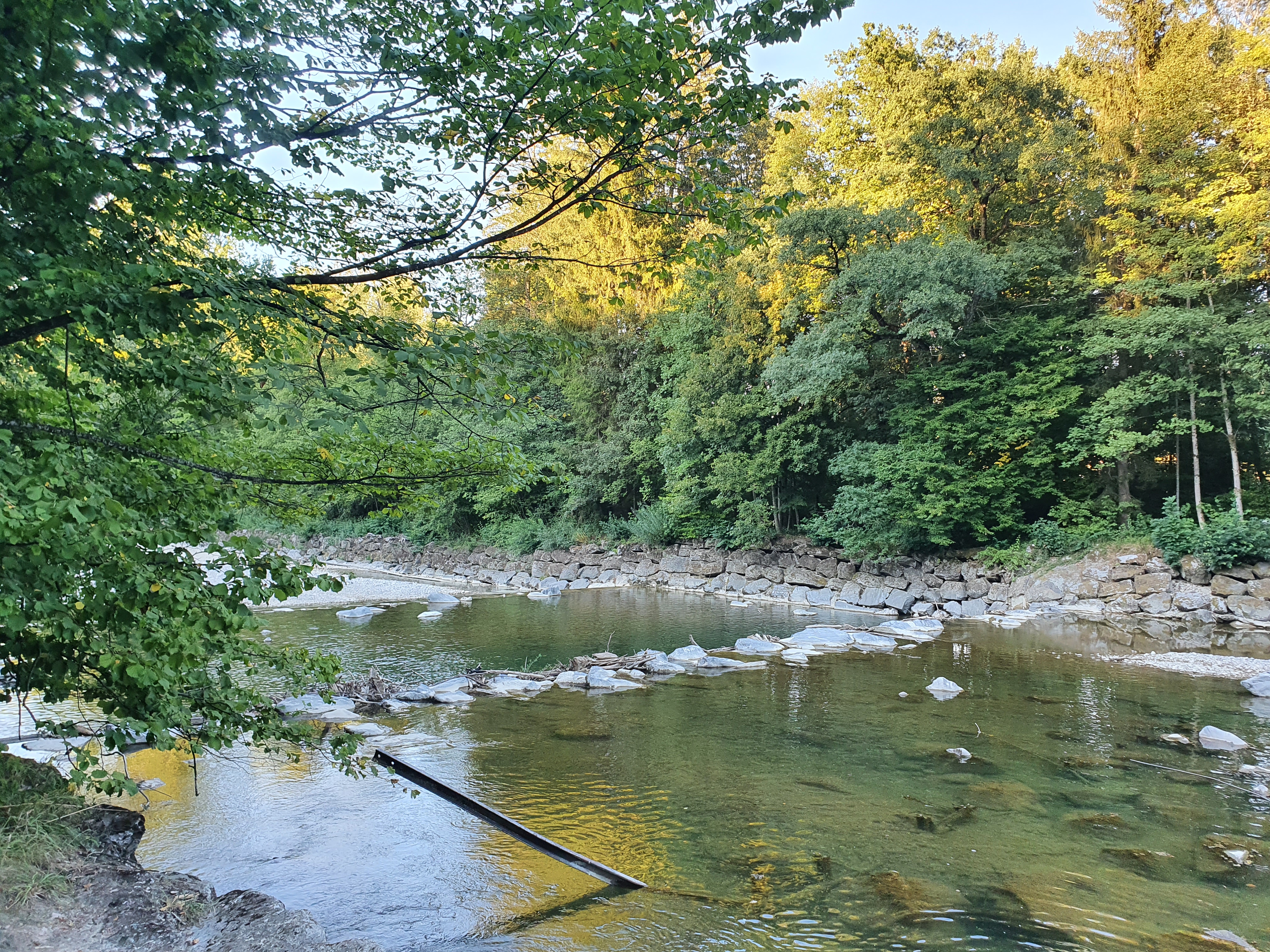 Bild Feedback: Emme im Fluss